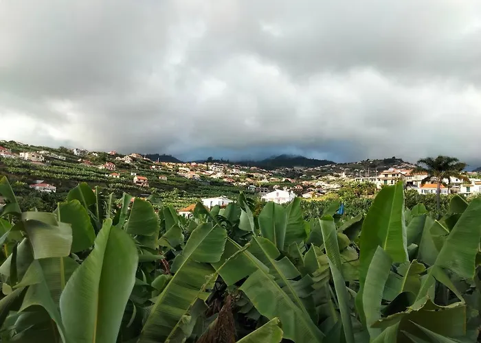 Apartmán Sara House *