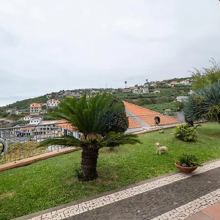 Appartement Sara House